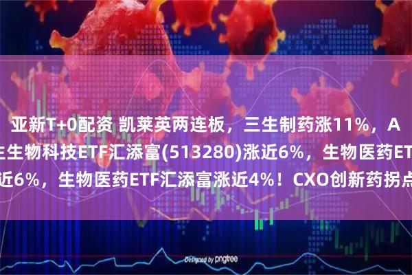 亚新T+0配资 凯莱英两连板，三生制药涨11%，AH生物医药爆发！恒生生物科技ETF汇添富(513280)涨近6%，生物医药ETF汇添富涨近4%！CXO创新药拐点已来？