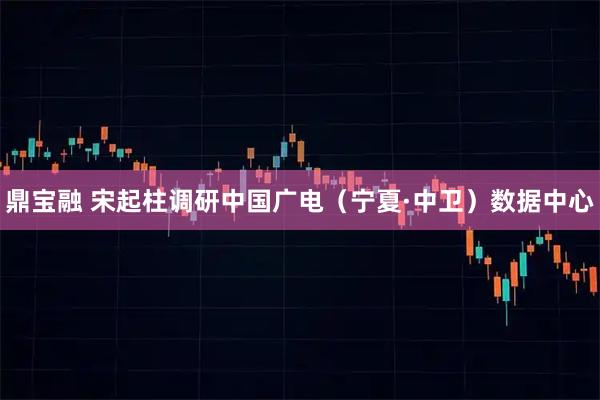 鼎宝融 宋起柱调研中国广电（宁夏·中卫）数据中心