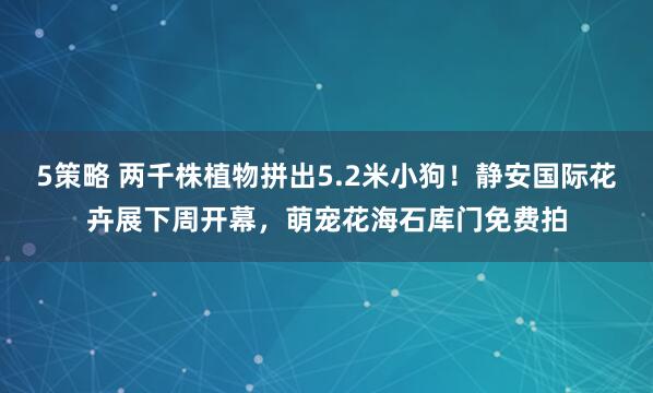 5策略 两千株植物拼出5.2米小狗！静安国际花卉展下周开幕，萌宠花海石库门免费拍