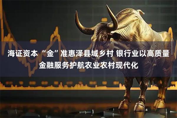 海证资本 “金”准惠泽县域乡村 银行业以高质量金融服务护航农业农村现代化
